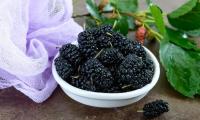 Черное тутовое сырье (Morus nigra) в белом керамическом шаре.