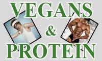There is still a lot of concern about how much protein people need in their diet, what is the best protein source and if vegans can get enough of it.