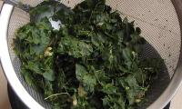 Blanched Moringa leaves (horseradish tree), cooked, drained, without salt.