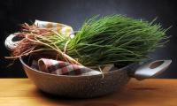 Salsola soda (Barba di frate, Agretti) as a bunch lying fresh on a pot.