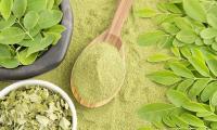 Moringa powder: Bottom left, dried moringa leaves. Above and to the right, fresh moringa leaves.