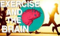 Exercise is good for the heart and makes you look good. However, there are much more compelling reasons to exercise regularly.