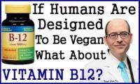 If Humans Designed To Be Vegan Why Do They Have To Take Vitamin B12 Supplements? - Asks Dr.
