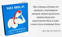 Рецензия на книгу "Нет молока" Даниэля Твогуда