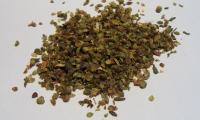 Herbs: spices, dried oregano (Origanum vulgare)