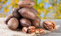 Pecan: some piled with shell, next to a cracked nut and cuts.