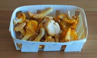 Real chanterelle, raw in cardboard tray on sale - Cantharellus cibarius.