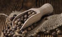 Allspice, whole grains in a wooden scoop and around it on sackcloth.