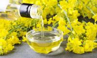 Pouring refined rapeseed oil from a bottle into a glass bowl surrounded by rapeseed flowers.