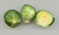 Raw Brussels sprouts (Brassica oleracea) on a light-colored surface - one is cut in half.