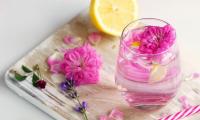 Rosenwasser - Rosa centifolia - Ein Trinkglas voll Rosenwasser mit Blüten als Zierde.