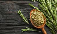 Rosemary dried on a wooden spoon, fresh rosemary next to it - Rosmarinus officinalis.