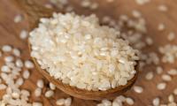 Round grain rice, white, raw - Oryza sativa L. - in wooden ladle.