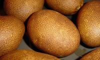 Primo piano di alcune patate crude della varietà farinosa e per cucinare Russet.