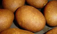 Close-up of starchy Russet potatoes (uncooked)