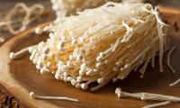 Common velvet footrub (Enoki), cultivated (therefore white), raw in the bunch (Flammulina velutipes)