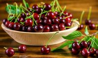 Red fresh sour cherries (tart cherries) in wooden bowl and next to it - Prunus cerasus.