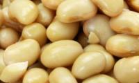 Freshly cooked soybeans, closeup. Buy organic if possible.
