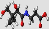 Molecular ball-and-stick model of pantothenic acid.