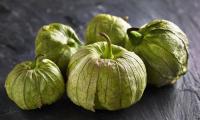 Tomatillo, raw - Physalis philadelphica. Fruits including the bell-shaped sepals.