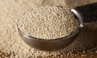 Dry yeast or baker's yeast, heaped in measuring spoon over individual granules.