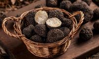 Raw fresh truffles in wicker basket, two cut halves -Tuber aestivum.