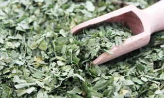 Aglio selvatico secco - Allium ursinum - che giace liberamente con un misurino di legno.