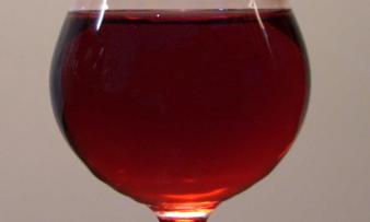 Pomegranate Syrup Pomegranate Syrup