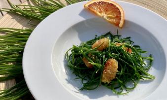 Rezeptbild vom angerichteten "Agretti all´arancia" auf weissem Teller. Rezeptbild vom angerichteten "Agretti all´arancia" auf weissem Teller.