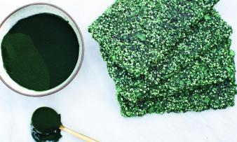 Spirulina Sesame Bars from the cookbook “Raw and Radiant” by Summer Sanders, p. 178 Spirulina Sesame Bars from the cookbook “Raw and Radiant” by Summer Sanders, p. 178