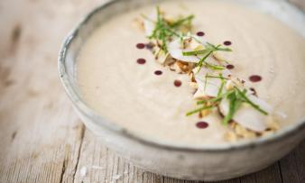 Rezeptbild "Topinambur-Pastinaken-Cremesuppe" aus dem Kochbuch "Tierschutz geniessen", Seite 44. Rezeptbild "Topinambur-Pastinaken-Cremesuppe" aus dem Kochbuch "Tierschutz geniessen", Seite 44.