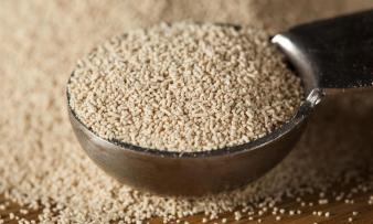 Dry yeast or baker's yeast, heaped in measuring spoon over individual granules.